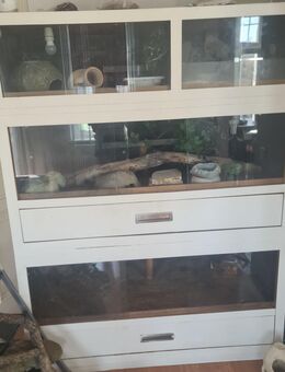 XXL Terrariumwand - Terrarium - Terrarien - Reptilien - Berlin