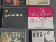 🎶 Musik CD's - Gelsenkirchen Hassel