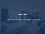 Große 1 Zimmerwohnung mit traumhaftem Ausblick - Freiburg (Breisgau)