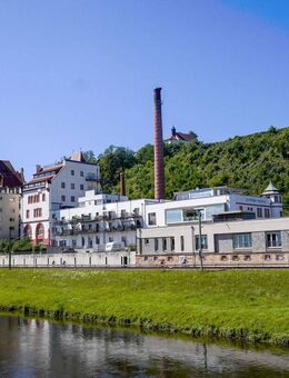 Leben mit Weitblick: 3,5-Zimmer-Wohnung mit Dachterrasse in der Alten Brauerei Riegel - Riegel (Kaiserstuhl)