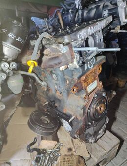 DEFEKT Opel Insignia 2.0 CDTI A20DTH Motor 160 PS - Breitscheidt