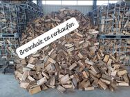 Ofenfertiges Brennholz - Limbach (Baden-Württemberg)
