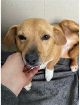 Vincent - hätte so gerne eine Familie! - Bochum