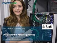 Werkstudent IT-Abteilung (m/w/d) - Leinfelden-Echterdingen