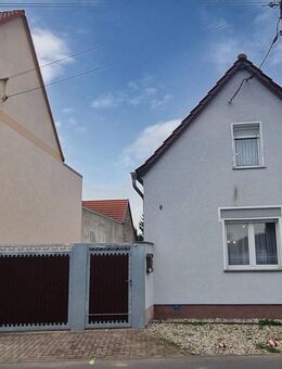 Landidylle pur: Einfamilienhaus aus Lehm mit vielseitig nutzbarer Scheune und großem Naturgarten - Muldestausee