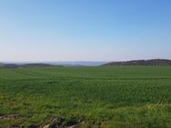 Traumhaftes Baugrundstück mit Fernblick in Dresden Nähe - Heidenau (Sachsen)