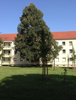 4-Raum Wohnung im Zentrum von Bad Muskau - Bad Muskau