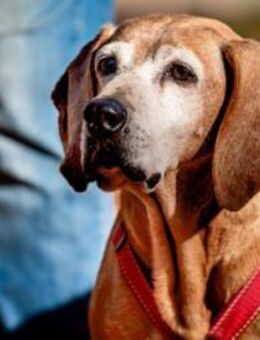 Rei möchte sein Leben genießen - Neuss