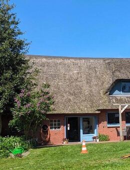 Ländliche Idylle unter Reet auf großem Grundstück - Langenhorn