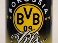 BVB 09 Borussia Dortmund Deutscher Meister Getränkedose Bierdose - Werne