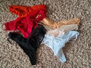 Getragene Tangas panties gstrings erotik verkauf - Aachen