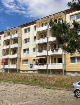 ++ Singlewohnung sucht Mieter ++ - Tützpatz