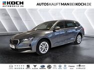 Skoda Octavia, 2.0 TDI Combi Selection, Jahr 2024 - Ludwigsfelde