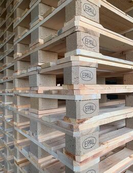 Europaletten Paletten Trocken NEU - Sande