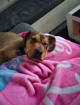 Milow - Castrop-Rauxel