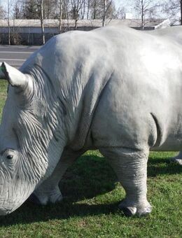 Dekofigur Nashorn XXL Lebensgroß Gartendeko Tierdekofigur - Hergisdorf