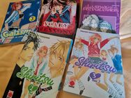 Mangas / 5Stck - Weiden (Oberpfalz)