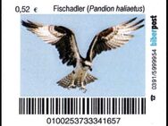 Biberpost: "Vögel: Fischadler", Satz, postfrisch - Brandenburg (Havel)