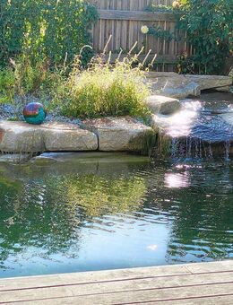 Neuw. exkl. EFH mit gr. Dachterrasse und Naturpool sowie vielen Extras - VB! - Velden (Regierungsbezirk Niederbayern)