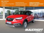 Opel Crossland, Inno | | | | Winterp, Jahr 2019 - Bühl