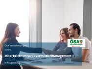 Mitarbeiter (m/w/d) Vermittlermanagement - Magdeburg