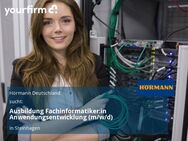 Ausbildung Fachinformatiker:in Anwendungsentwicklung (m/w/d) - Steinhagen (Nordrhein-Westfalen)