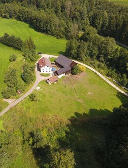 Absolute Alleinlage - Tolle Hofstelle nähe Passau mit viel Grund - Neukirchen (Wald)