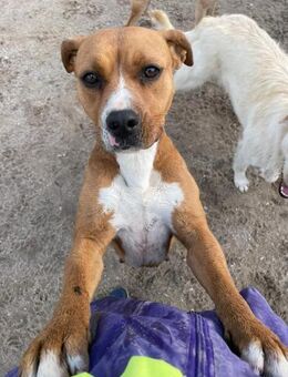 WO IST DIE NADEL IM HEUHAUFEN FÜR BRENDA - Mönchengladbach