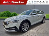 Skoda Octavia Combi Scout 4x4 2.0 TDI+Anhängerkupplung+Navi+LED - Marktredwitz