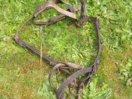 Altes pferdekutschen geschirr - Bernhardswald