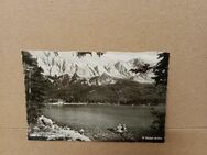 Postkarte C-233-Eibsee mit Zugspitze. - Nörvenich