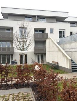 Barrierefreie 3-Zimmer-Neubauwohnung in Brackenheim - Brackenheim