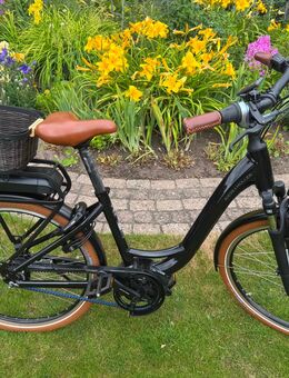 E-Bike Riese&Müller - Bassum