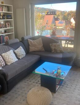 Ecksofa mit Schlaf- und Stauraumfunktion, modernes zweifarbiges Ecksofa mit Federkern - Engen