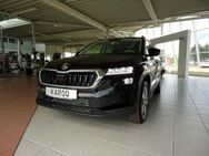 Skoda Karoq, "Executive", Jahr 2024 - Luckau