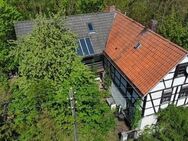 Vision gesucht - Grundstücke mit Haus und Mühle - Göschitz