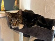 Elsa und Luna - Wathlingen