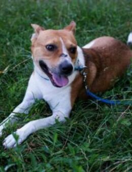 Hallo! Ich bin Myko! - München