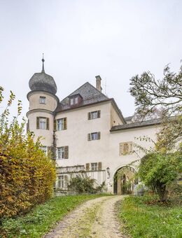 Herrschaftliches Schloss mit Freiflächen - Thalmassing
