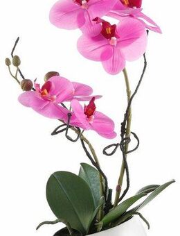 Kunstpflanze Orchidee Orchidee, Creativ green, Höhe 42 cm