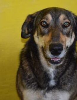 Liebe Rosalie wartet schon so lange - Berlin