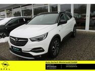 Opel Grandland 1.2 Turbo EU6d-T Ultimate Navi Soundsystem 360 Kamera Klimasitze LED Kurvenlicht - Niederahr