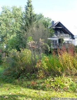 EFH mit Einliegerwohnung am Landschaftsschutzgebiet! - Toppenstedt