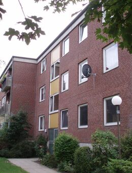 Renovierte 3-Zimmer-Wohnung in Preetz - Preetz (Schleswig-Holstein)
