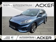 Ford Kuga, 1.5 EcoBlue ST-Line, Jahr 2020 - Bad Berleburg