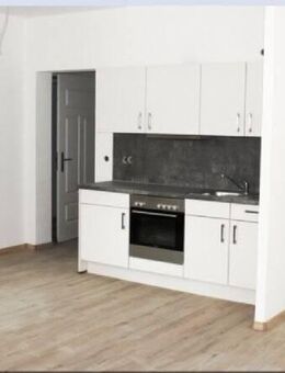 Geräumige Einzimmerwohnung mit Einbauküche-zentral - Halle (Saale)