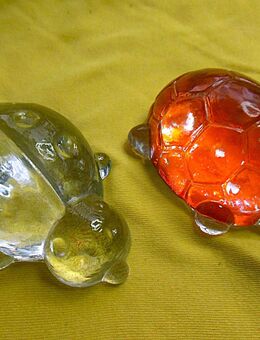 Maikäfer & Schildkröte - München Maxvorstadt