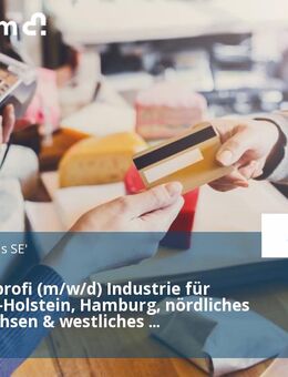Vertriebsprofi (m/w/d) Industrie für Schleswig-Holstein, Hamburg, nördliches Niedersachsen & westliches Mecklenburg-Vorpommern - Jevenstedt