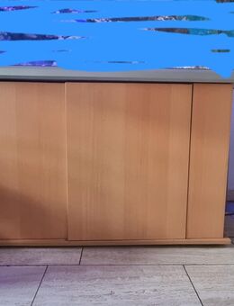 Meerwasser Aquarium 700 l - Haselünne