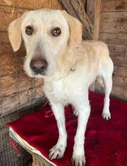 wunderschöne BELLA - Mamming